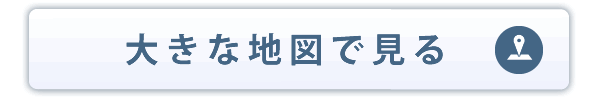 大きな地図を表示する